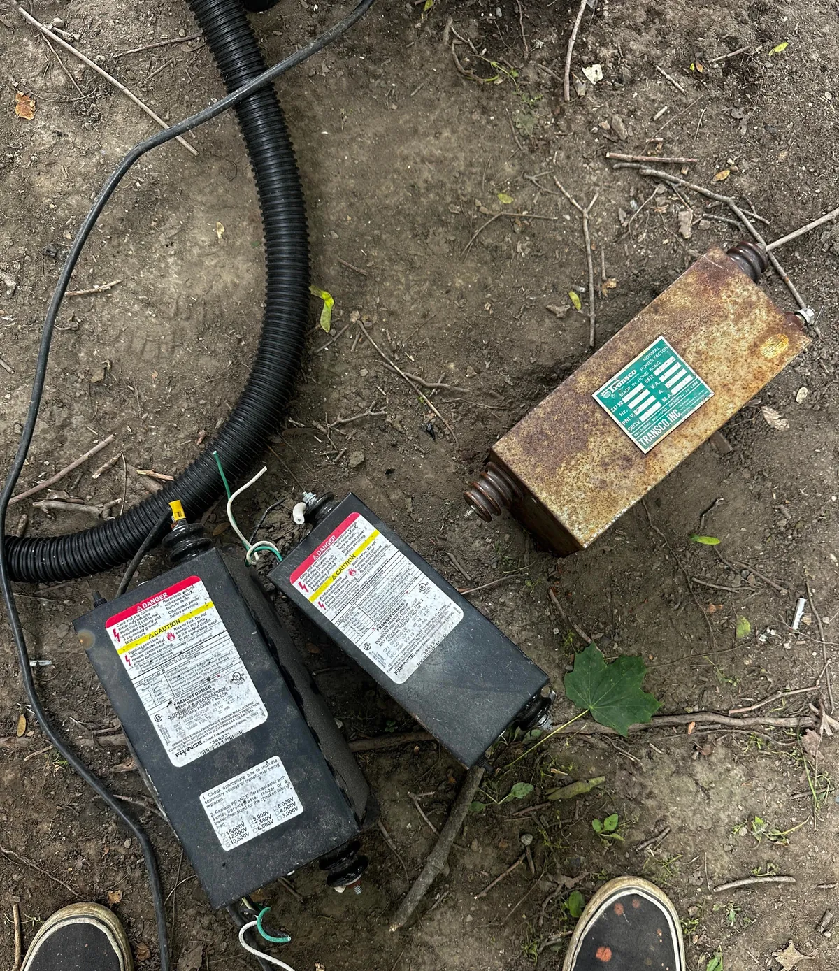 Update: 12ft Wendy’s Sign in Our College Backyard