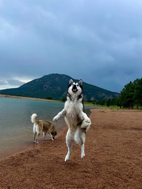 One of my favorite pictures I’ve ever taken - and the goofiness leading up to it!