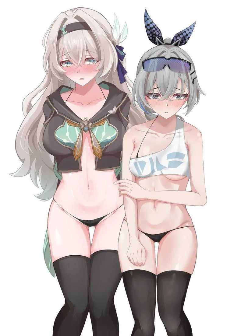 Firefly x Silver Wolf (@hibachaaa)