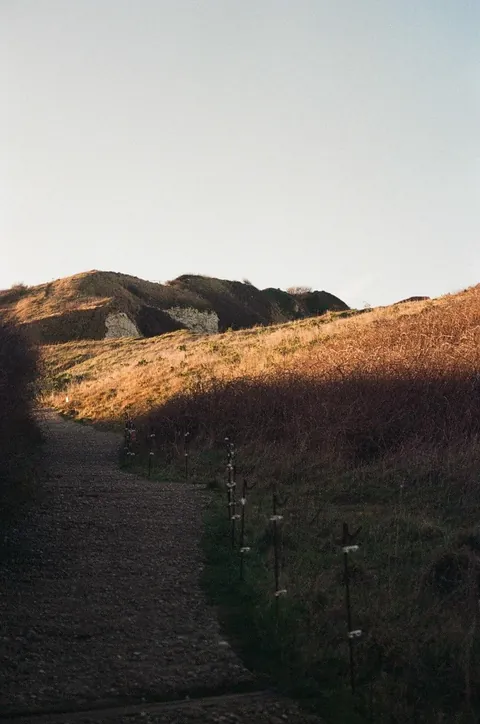 Normandy on film 🤍