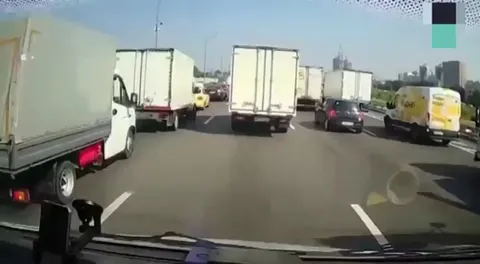 Truck driver spots tiny kitten on the highway, and saves him from certain death