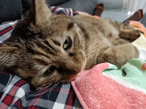 Too clingy to handle. She always wants a hug!