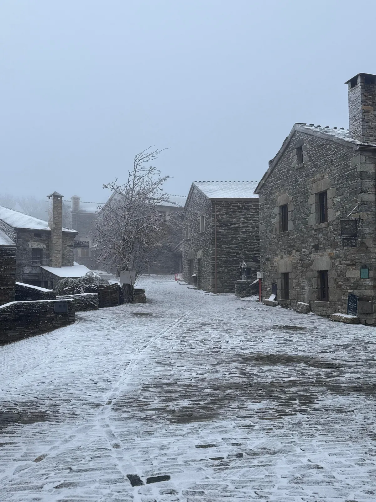 Primeros copos de nieve del año! O Cebreiro, frontera Lugo-León