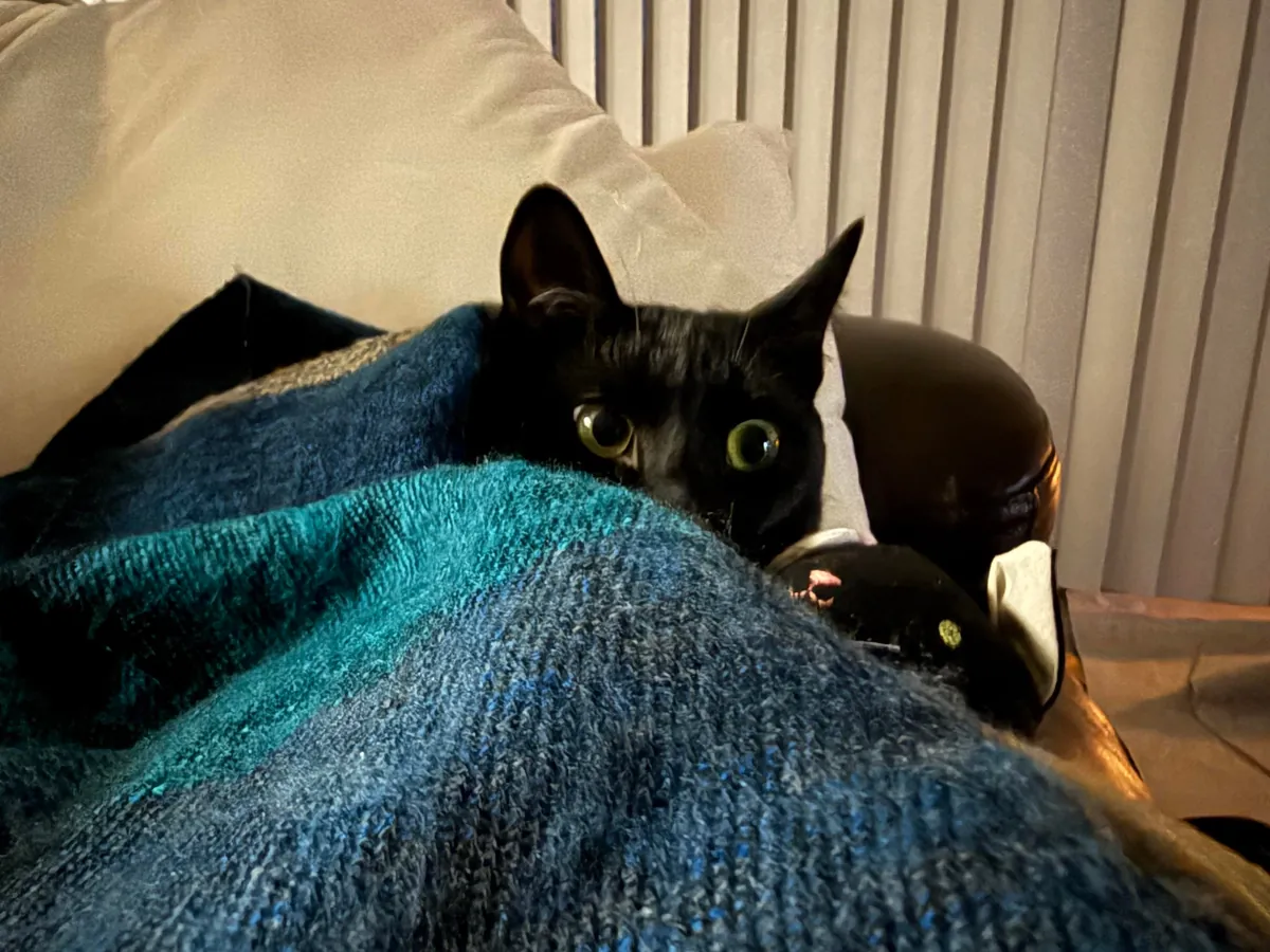 Soup Update: HE IS AN ADULT!!!