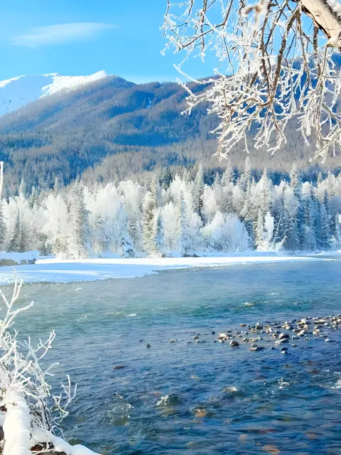 Kanas River, Aletai, Xinjiang, China[2160x2880][OC]