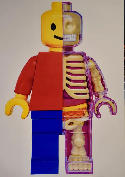 Anatomical Lego Man, WMACKO (me), Colored Pencil, 2024