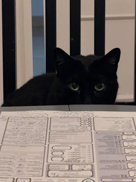 I’m Mona (cute in Spanish)