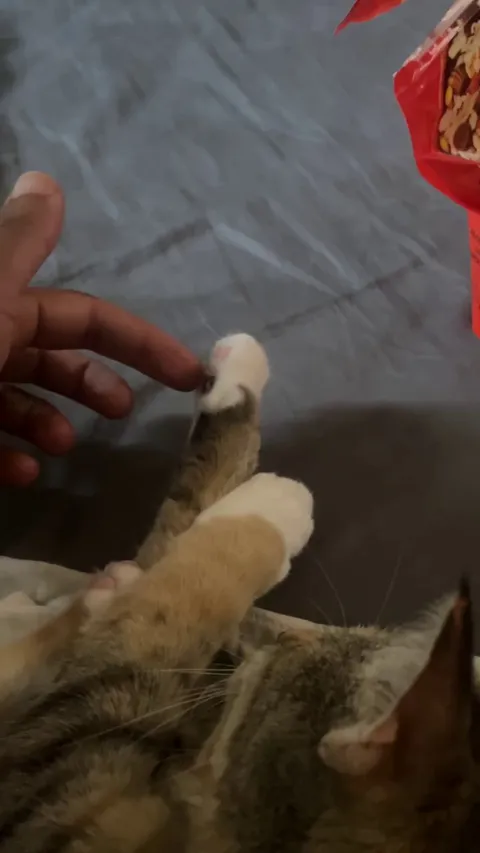 Is this normal? She’s just letting me touch &amp; squeeze her beans