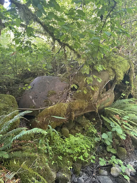Abandoned alongside a creek…