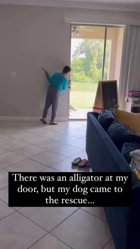 The dog really said, 'yeah, you better run' 🤣 -- Natalia Rojas