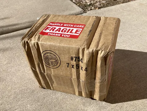 I ordered an accordion so hopefully it’s ok.