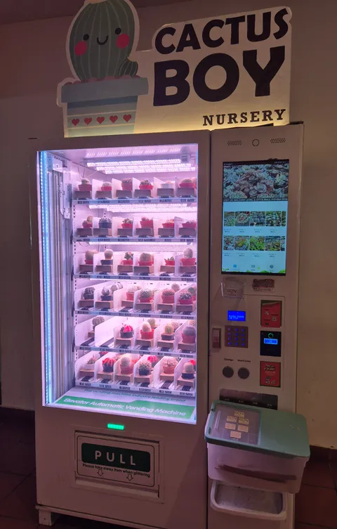 This Vending Machine sell cactus