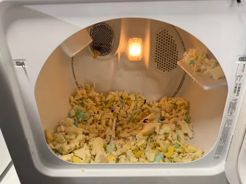 My wife put our dog’s bed in the dryer