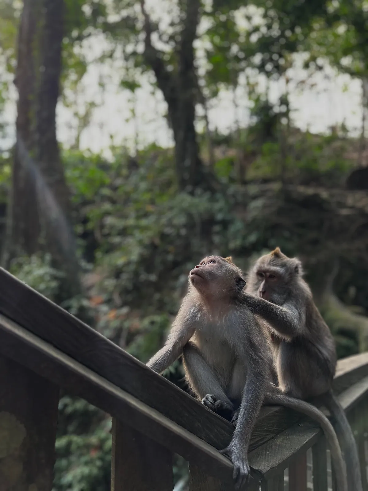 Bali 3-week trip. Highlights of waterfalls, rice fields, insane coast lines