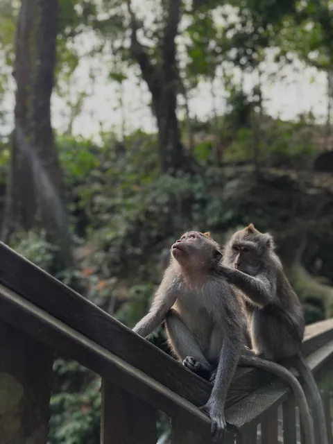 Bali 3-week trip. Highlights of waterfalls, rice fields, insane coast lines