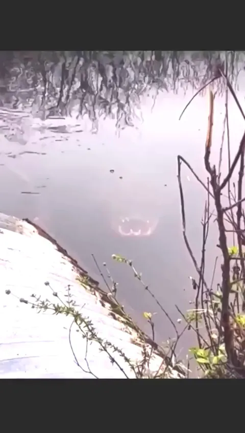 🔥Come on in...the water is fine...🔥