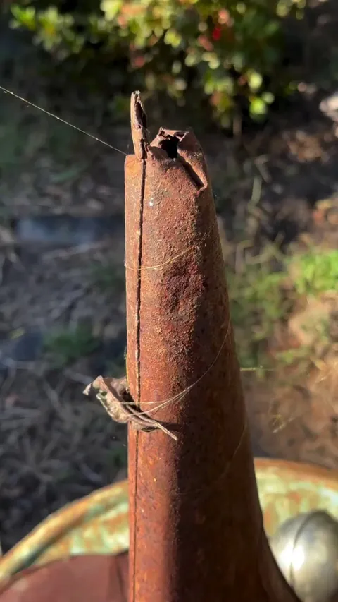 Amazed by the strength of this spider web