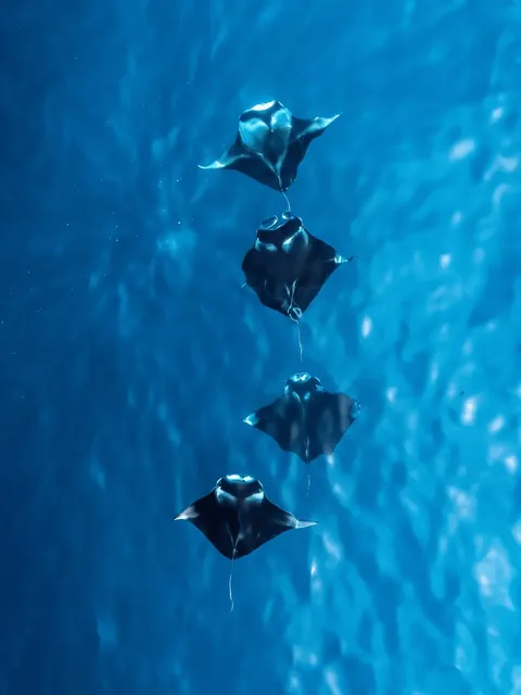 Photographer Shows His POV vs The Photos He Takes.