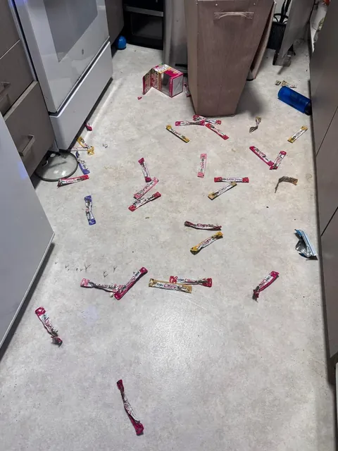 The crime and the criminal