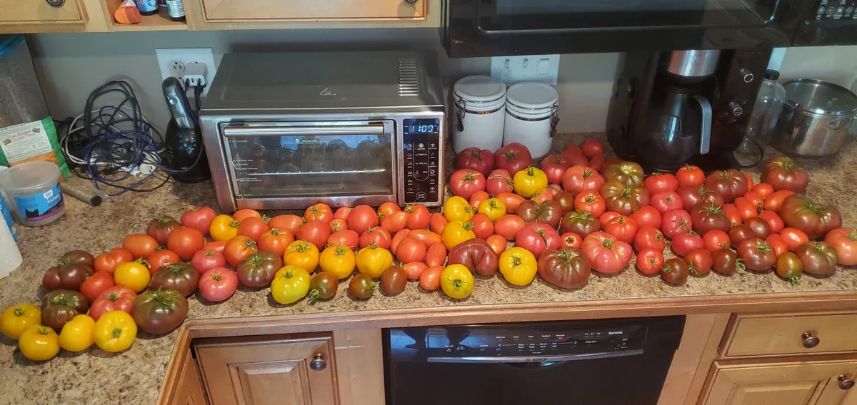 Is this what they mean by suffering from success?