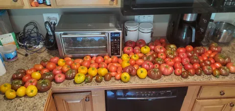 Is this what they mean by suffering from success?