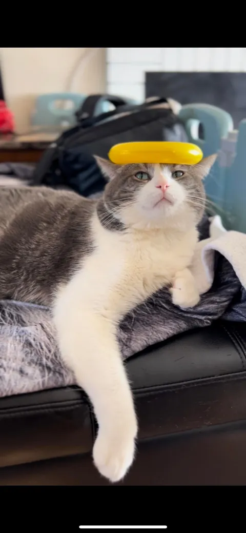 My first baby is gone