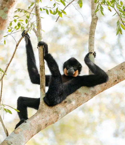 🔥 19 images from the Comedy Wildlife People's Choice Awards