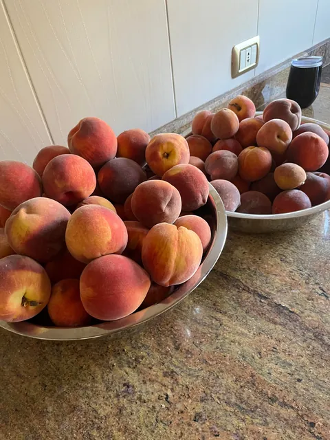 Everything my fruit garden produced this year. I’m so grateful 