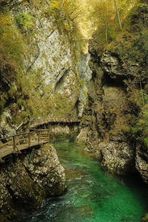 Didn’t know Slovenia was This Pretty in Fall 🍂🏞️