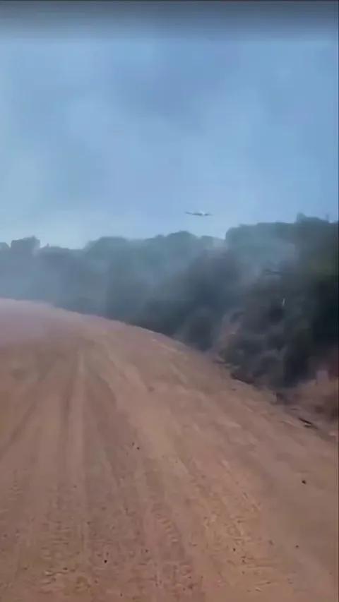 First Leader plane then DC-10 jet water bombers fly low to soak forest next to firefighters