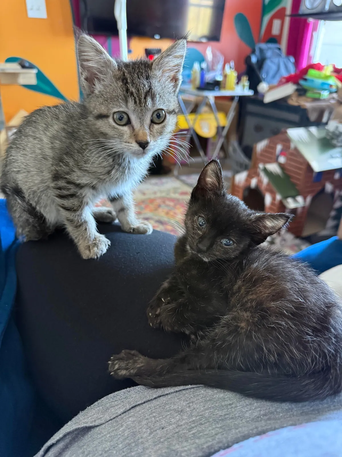 From 6oz to fat ❤️