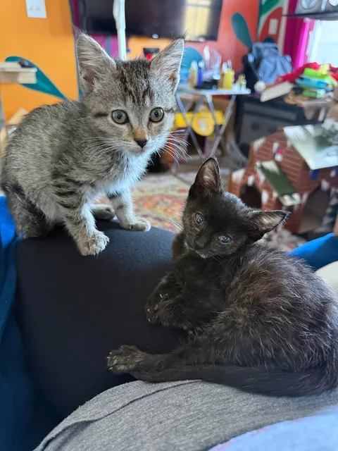 From 6oz to fat ❤️