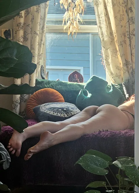 the perfect view