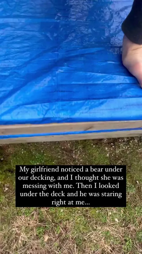 Bro is just taking a nap… 🐻 --Vincent Dashukewich