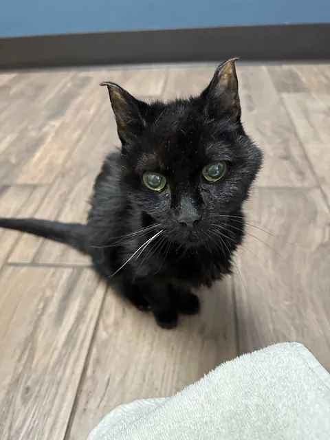 Heaven just got a little more BADASS!!