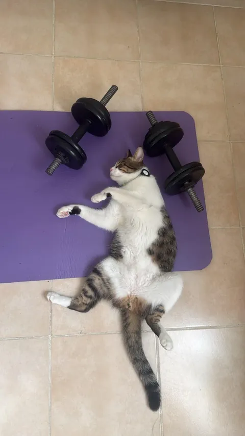 Gym instructor
