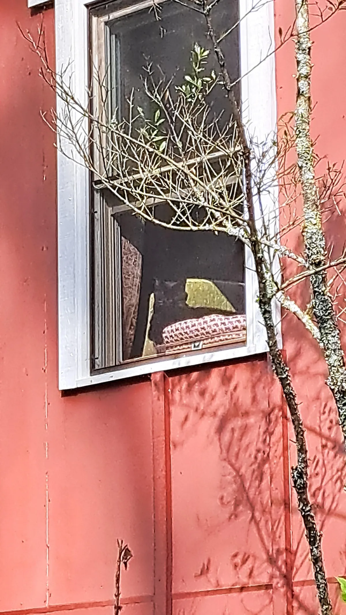 Bye Gooby, I gotta go to work now, I'll be back tonight, be a good boi. 🥹