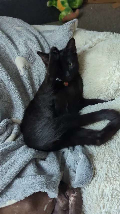 I also don't know what to do with my hands sometimes, it's ok bud