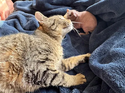 Edgar and his new baby