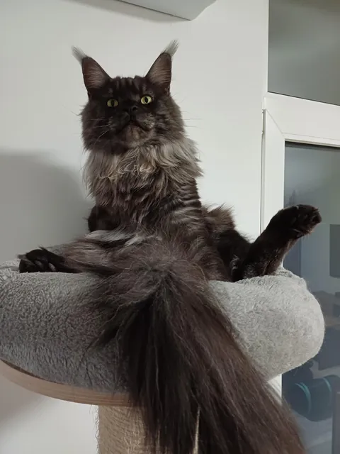 Hi reddit, it's Théoden. Did not see you for a long time