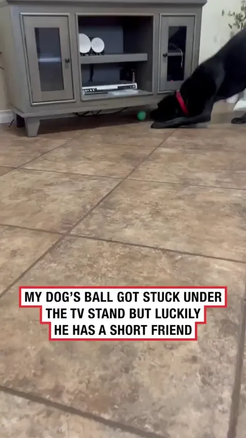 It's always helpful to have a short friend