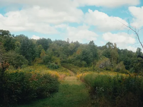 Nothing like a Vermont summer 🍎🛶⛰️