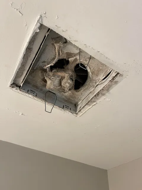 Small win, but pleased with the results for a noob