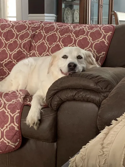 All smiles on this Friday☺️☀️