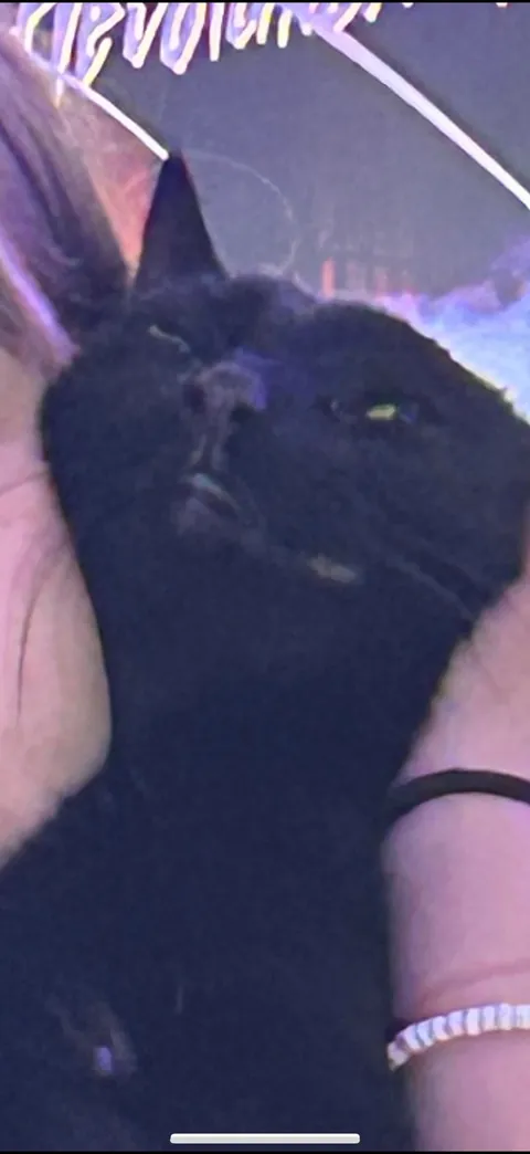 my very un-photogenic squidward