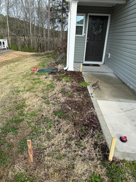 First landscape DIY