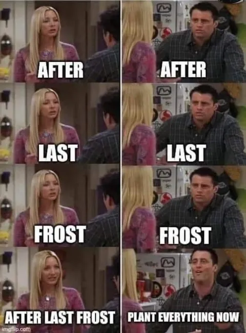 Plant everything now