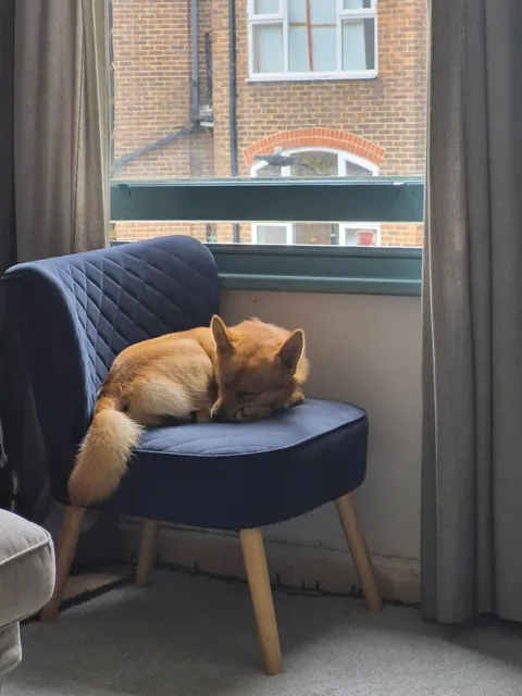 My bestest buddy Felix