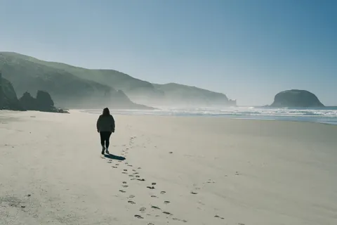 First days in New Zealand: The Catlins