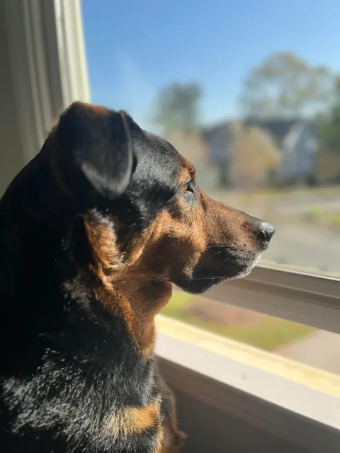 It’s Gary! My goofy, handsome, spoiled boy